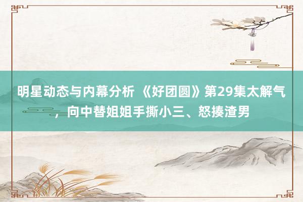 明星动态与内幕分析 《好团圆》第29集太解气，向中替姐姐手撕小三、怒揍渣男