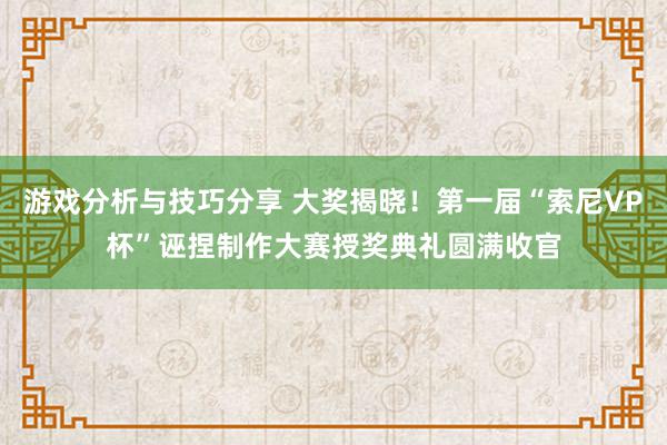 游戏分析与技巧分享 大奖揭晓！第一届“索尼VP杯”诬捏制作大赛授奖典礼圆满收官