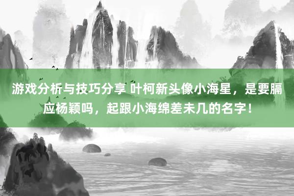 游戏分析与技巧分享 叶柯新头像小海星，是要膈应杨颖吗，起跟小海绵差未几的名字！