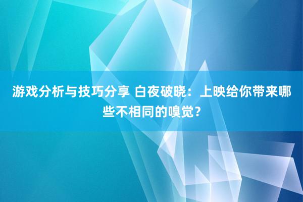 游戏分析与技巧分享 白夜破晓：上映给你带来哪些不相同的嗅觉？