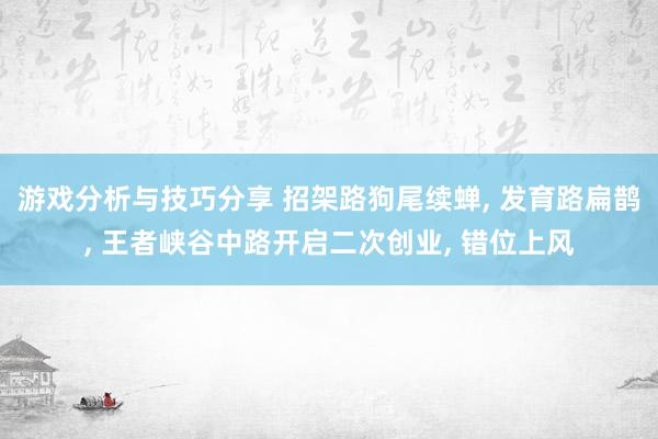 游戏分析与技巧分享 招架路狗尾续蝉, 发育路扁鹊, 王者峡谷中路开启二次创业, 错位上风