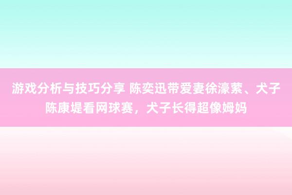 游戏分析与技巧分享 陈奕迅带爱妻徐濠萦、犬子陈康堤看网球赛，犬子长得超像姆妈