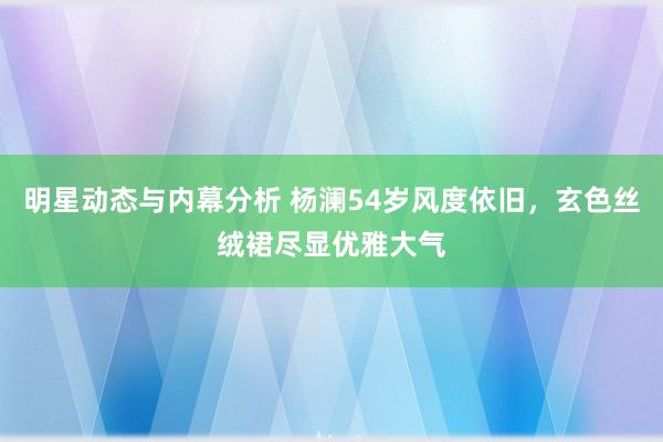 明星动态与内幕分析 杨澜54岁风度依旧，玄色丝绒裙尽显优雅大气