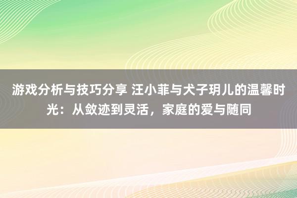 游戏分析与技巧分享 汪小菲与犬子玥儿的温馨时光：从敛迹到灵活，家庭的爱与随同