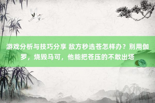 游戏分析与技巧分享 敌方秒选苍怎样办？别用伽罗，烧毁马可，他能把苍压的不敢出塔