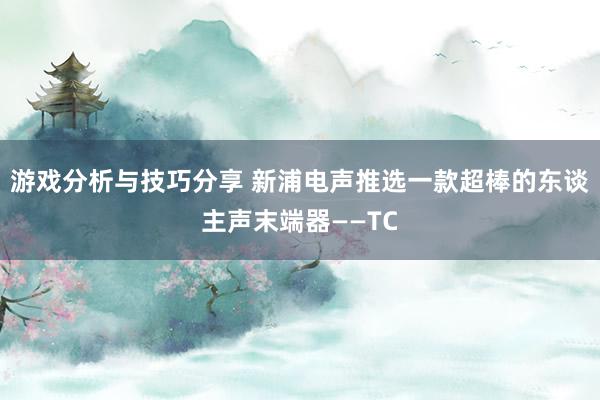 游戏分析与技巧分享 新浦电声推选一款超棒的东谈主声末端器——TC