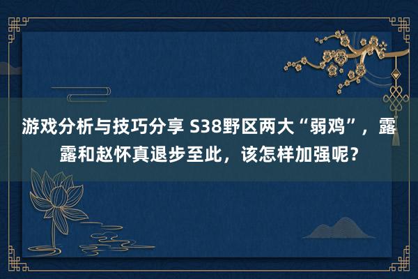 游戏分析与技巧分享 S38野区两大“弱鸡”，露露和赵怀真退步至此，该怎样加强呢？