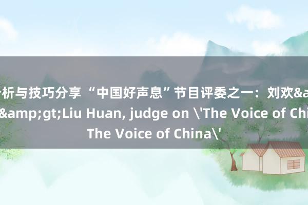 游戏分析与技巧分享 “中国好声息”节目评委之一：刘欢&lt;br/&gt;Liu Huan, judge on 'The Voice of China'